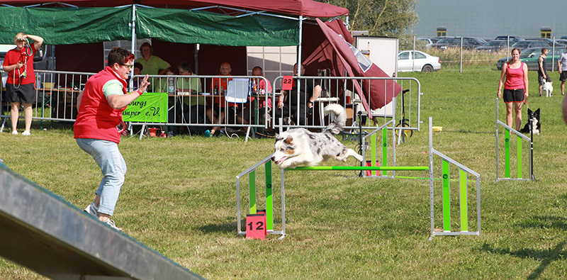 Hundesport - Agility Hundesport - Agility