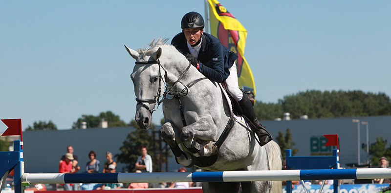 Springsport Springsport