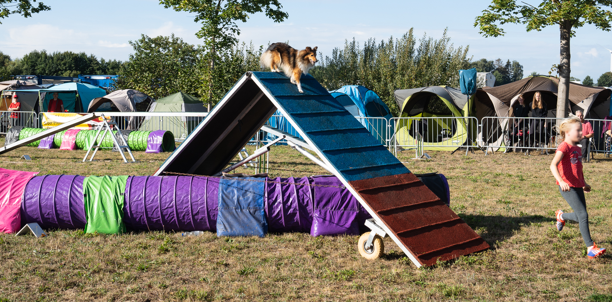 Hundesport - Agility